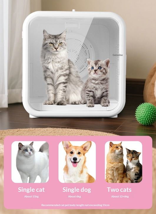 Secadora de Aire para Gatos con Caja de Contención - Image 34