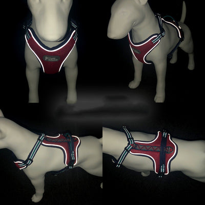 Arnés de Tracción para Perros con Cuerda de Seguridad - Image 12