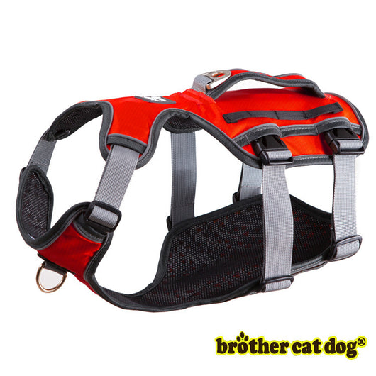 Banda de Soporte Toraco-Lumbar para Perros - Image 12