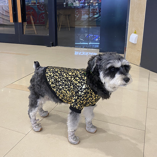 Ropa de Verano para Perros con Acabado Dorado Brillante - Image 6