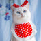 Red Polka Dot Set Less Than