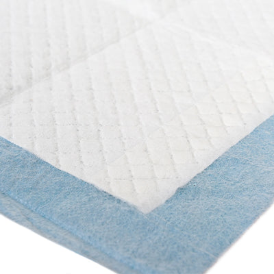 Pañales para Perros - Desodorizantes y Absorbentes - Image 6