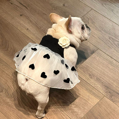 Falda Estampada Casual para Perro - Verano - Image 3