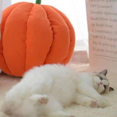 Cama Nido Cálida para Gatos - Casa Tipo Calabaza Cerrada con Bolsa de Dormir - Image 10