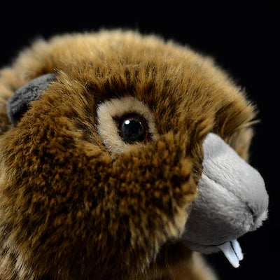 Peluche de Marmota Adorable - Modelo de Animal Realista - Image 13