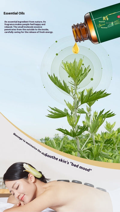 Aceite Esencial Orgánico de Ajenjo para Masaje Corporal - Image 9