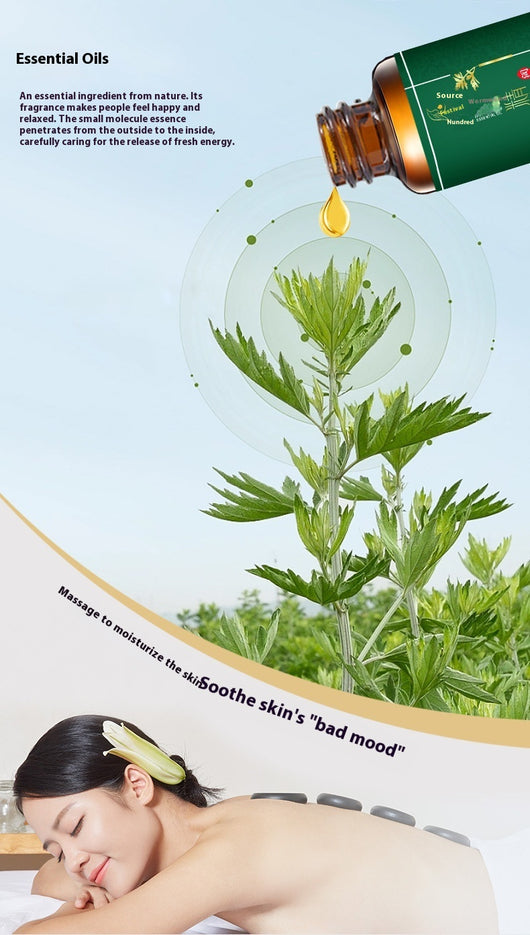 Aceite Esencial Orgánico de Ajenjo para Masaje Corporal - Image 9