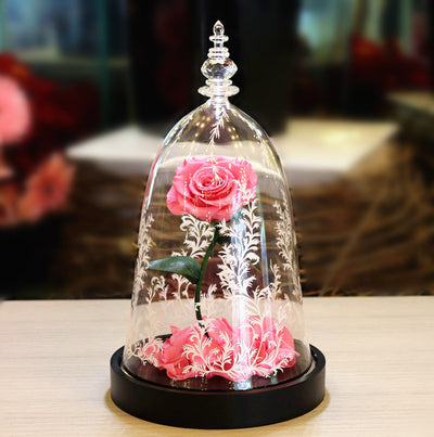 Rosa Preservada en Campana de Cristal - Regalo Creativo Eterno - Image 14