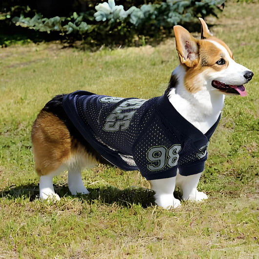 Uniforme de Protección Solar para Perros - Camiseta Deportiva UV - Image 5