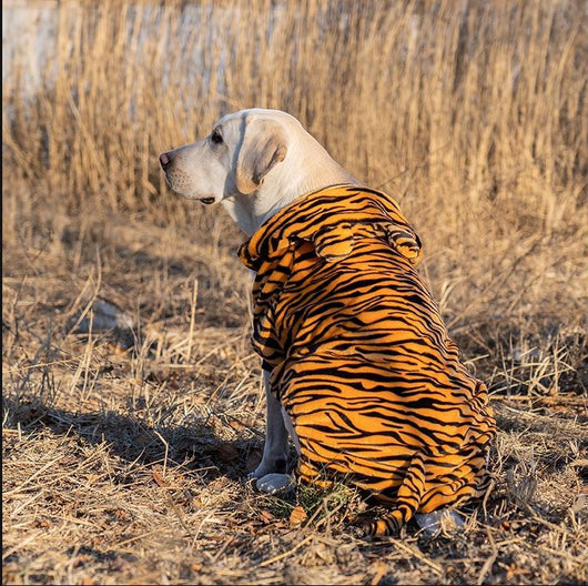 Ropa para Perros Grandes - Colección Año Completo Talla Mediana-Grande - Image 14