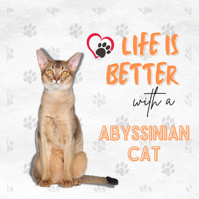 Funda de Almohada con Estampa de Gato Artístico en Algodón y Lino - Image 18