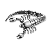 Pulsera Escorpión en Acero Inoxidable - Image 12
