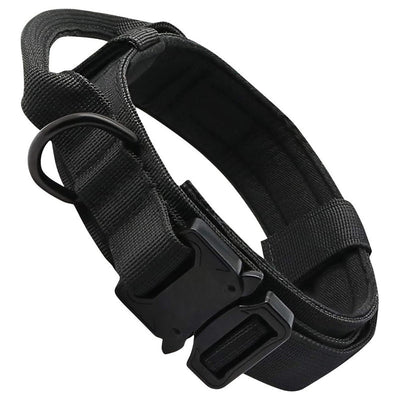 Collar Táctico Personalizado para Perros - Image 8