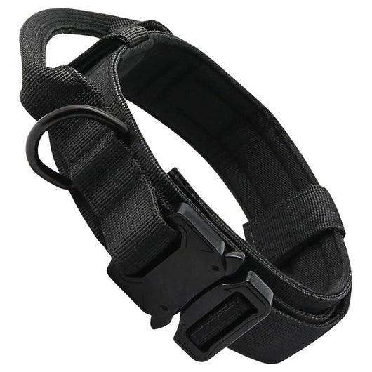 Collar Táctico Personalizado para Perros - Image 8