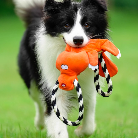Juguete Molar Interactivo para Perros Medianos y Grandes con Sonido - Image 9