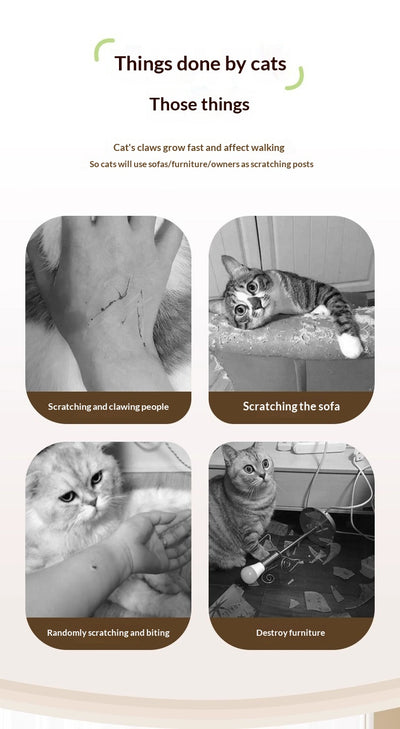 Rascador de Pared Adhesivo para Gatos - Recortable, Resistente y sin Pelusas - Image 16