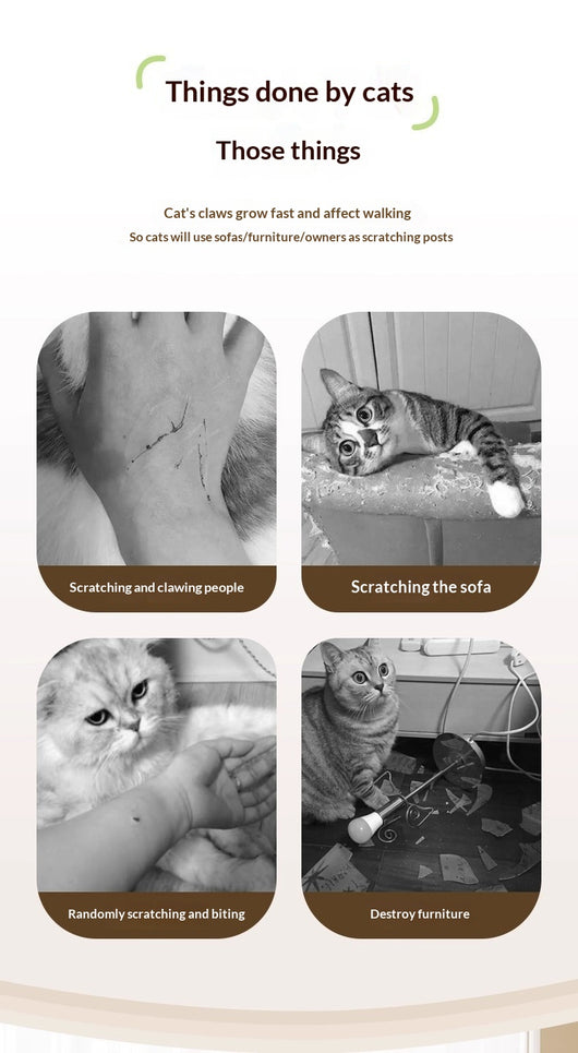 Rascador de Pared Adhesivo para Gatos - Recortable, Resistente y sin Pelusas - Image 16