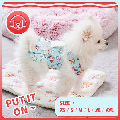 Vestido Arnés para Perro con Alas de Ángel y Correa - Outfit Fashion para Mascotas Pequeñas - Image 13