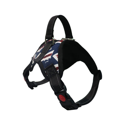 Productos Premium de Aseo para Perros Raza Satsuma - Image 5