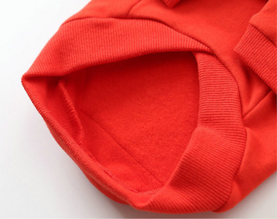 Ropa Elegante para Perros en Otoño e Invierno - Image 11