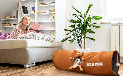 Túnel Felino Plegable con Bola de Peluche - Juguete Interactivo para Gatos de Interior - Image 15