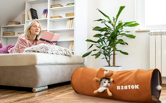 Túnel Felino Plegable con Bola de Peluche - Juguete Interactivo para Gatos de Interior - Image 15