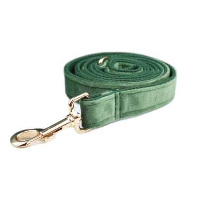 Collar de Terciopelo para Perro - Suave y Elegante - Image 9