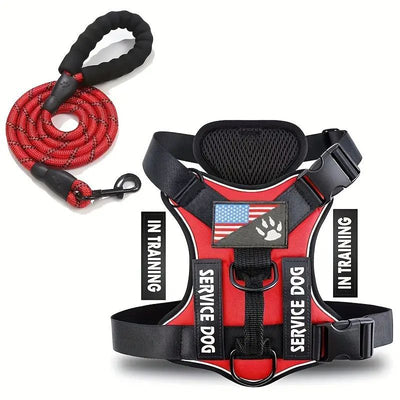 Arnés Pectoral para Perro con Correa de Control - Image 3