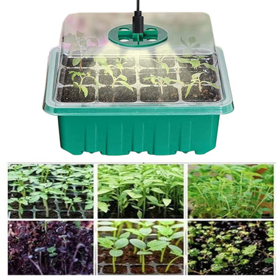 Bandeja de Germinación 12 Celdas con Lámpara LED - Image 6