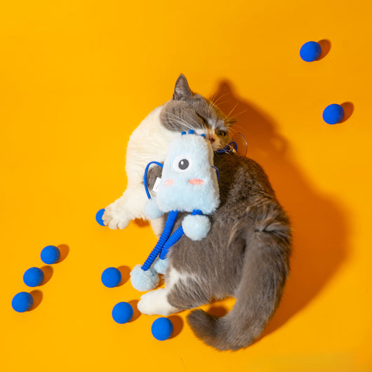 Juguete Interactivo para Gatos con Cuerda Elástica y Campana de Menta - Image 5