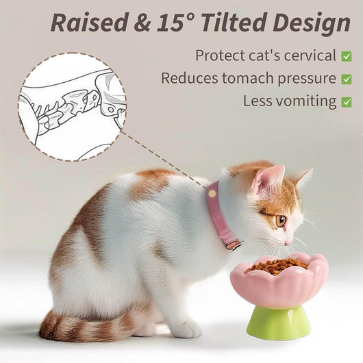 Comedero Elevado para Gatos de Cerámica Rosa - Diseño Inclinado Anti-Vómito y Fatiga de Bigotes - Image 11