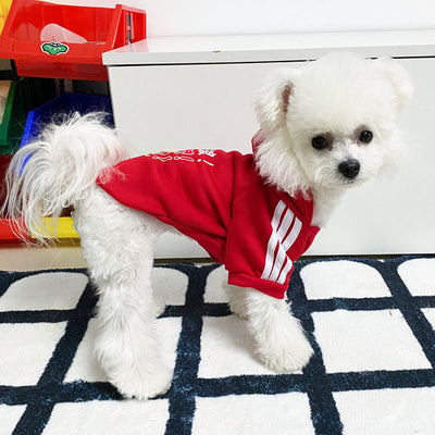 Ropa de Abrigo para Perros - Diseños Adorables Otoño e Invierno - Image 20