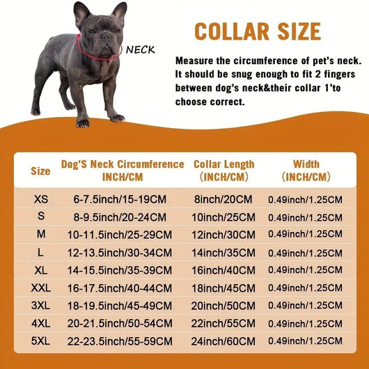 Collar de Cristal para Mascotas - Cadena Metálica Elegante para Perros y Gatos - Image 14