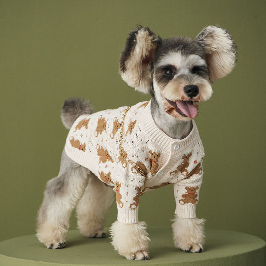 Abrigo VIP para Pomerania Dischnarui - Diseño Adorable para Mascotas - Image 11