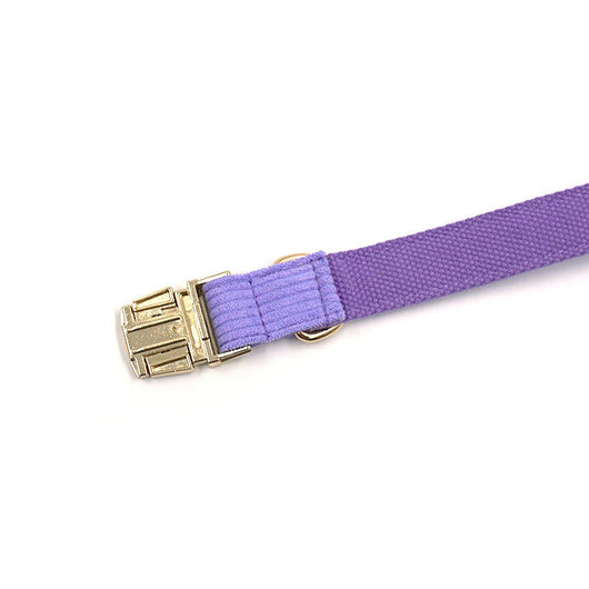 Collar para Perro Terciopelo Púrpura Taro Simple - Image 5