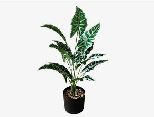 Planta Artificial Decorativa Tortuga - 12-24 Cabezas Verdes para Pared y Jardín - Image 22