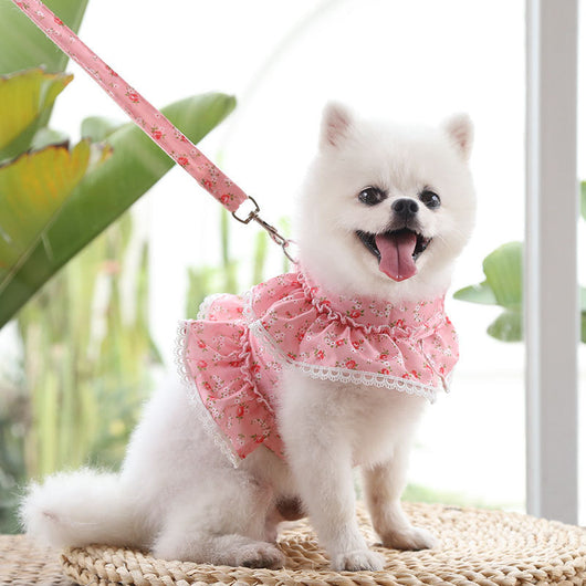 Arnés Pectoral con Correa para Perro Pequeño - Encaje Floral Primavera - Image 3