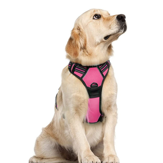 Chaleco Arnés para Perros Grandes con Correa Integrada - Image 13