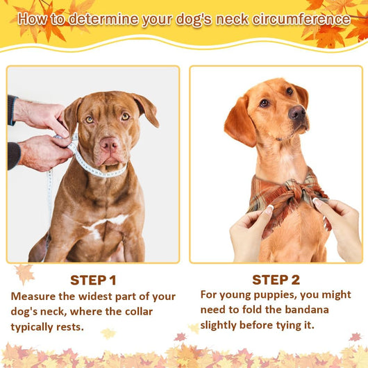 Pañuelo Clásico a Cuadros para Perro con Borlas - Accesorio Elegante para Otoño - Image 6