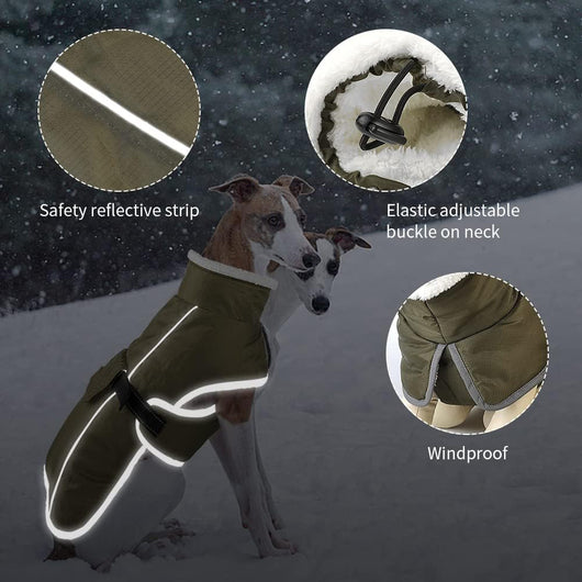 Abrigo Térmico Impermeable para Perros - Protección Invernal - Image 4