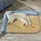 Cama Refrescante para Gatos con Gel Antiaderente