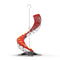 Spiral Unilateral