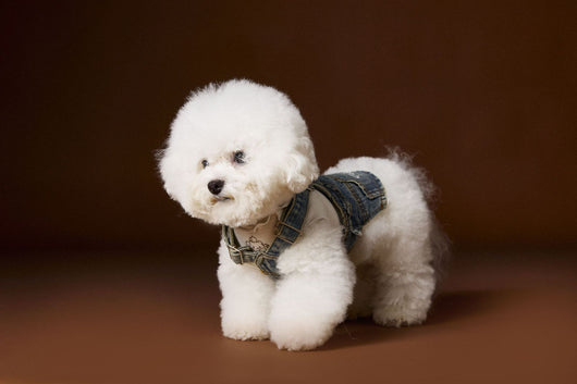 Falda Denim Tipo Peto sin Mangas para Perros Pequeños y Medianos - Image 9