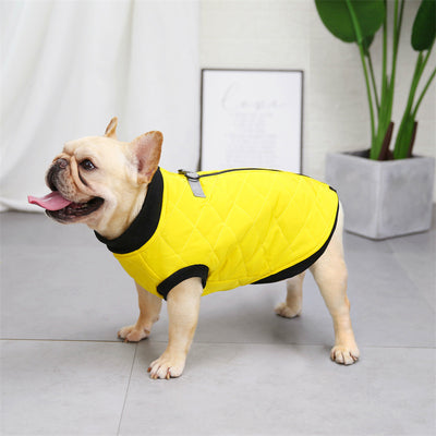Chaleco Bucket de Algodón para Perros - Estilo Francés - Image 8