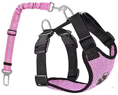 Cuerda Reflectante y Transpirable para Perros - Image 3