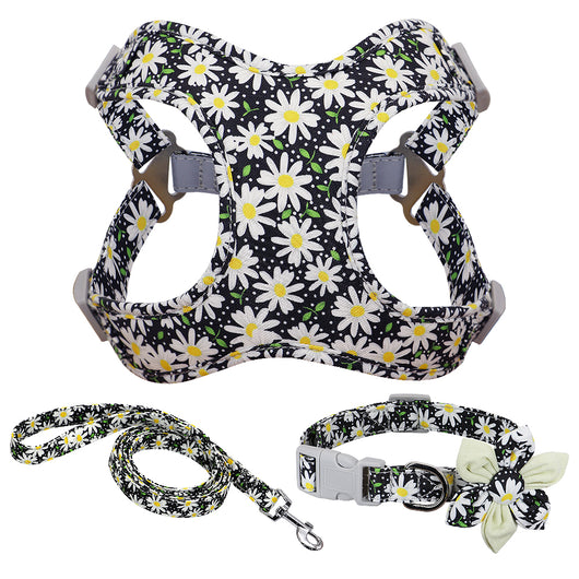 Arnés de Pecho Veststyle con Cuerda y Cadena para Pasear Perros - Image 4