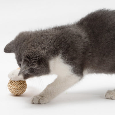 Two natural cat toys: a woven rattan ball and a braided grass ball with light brown feathers. - Image 7