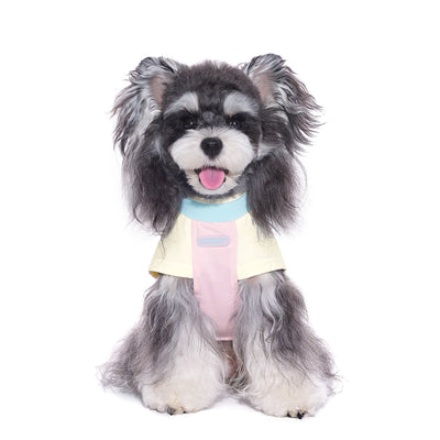 Ropa Fresca para Perros Pequeños Bichón Schnauzer - Image 12