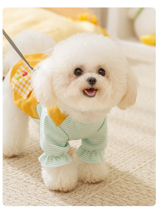 Enterizo Térmico de Dos Patas para Perros Pequeños - Otoño e Invierno - Image 10