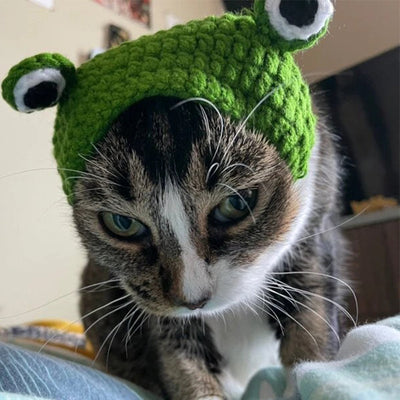 Gorro de Lana Tejido para Mascotas - Diadema Rana - Image 9